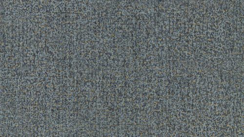 Kauri 312954